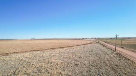 353.09+/- Acres of Farmland in Cochran County, Texas - image 1