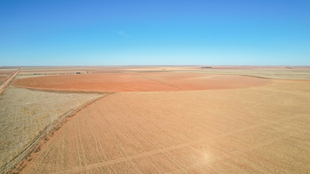 353.09+/- Acres of Farmland in Cochran County, Texas - image 4