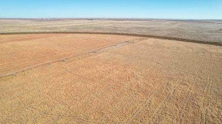 353.09+/- Acres of Farmland in Cochran County, Texas - image 6