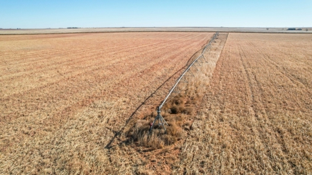 353.09+/- Acres of Farmland in Cochran County, Texas - image 9