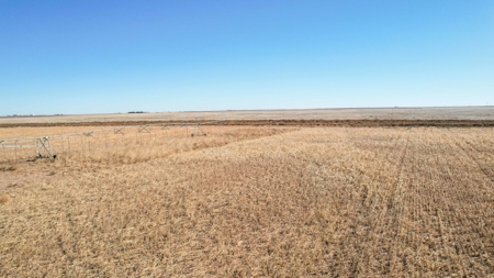 353.09+/- Acres of Farmland in Cochran County, Texas - image 11