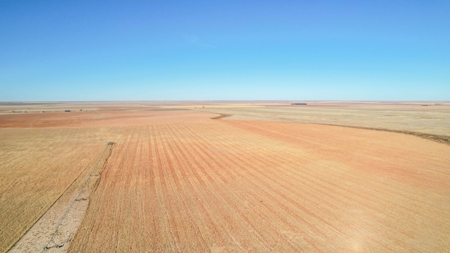 353.09+/- Acres of Farmland in Cochran County, Texas - image 14