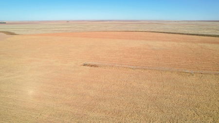 353.09+/- Acres of Farmland in Cochran County, Texas - image 5