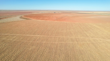 353.09+/- Acres of Farmland in Cochran County, Texas - image 8