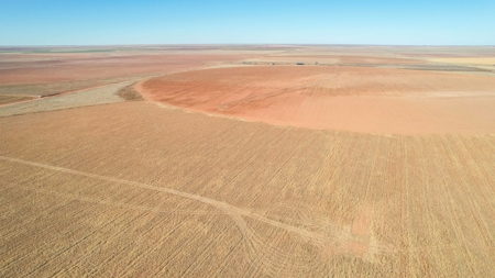 353.09+/- Acres of Farmland in Cochran County, Texas - image 17
