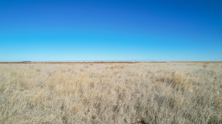 353.09+/- Acres of Farmland in Cochran County, Texas - image 24