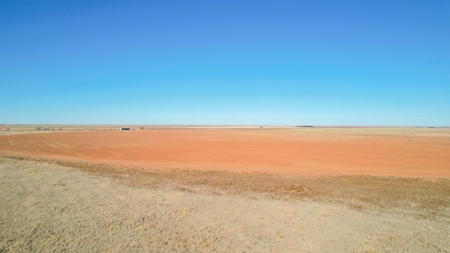 353.09+/- Acres of Farmland in Cochran County, Texas - image 23