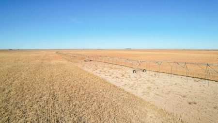 353.09+/- Acres of Farmland in Cochran County, Texas - image 12