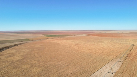 353.09+/- Acres of Farmland in Cochran County, Texas - image 15