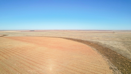 353.09+/- Acres of Farmland in Cochran County, Texas - image 13
