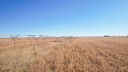 353.09+/- Acres of Farmland in Cochran County, Texas - image 10