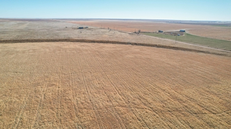 353.09+/- Acres of Farmland in Cochran County, Texas - image 7