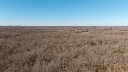 Prime Hunting Land in the Arkansas Ozarks | 80 Wooded Acres - image 11