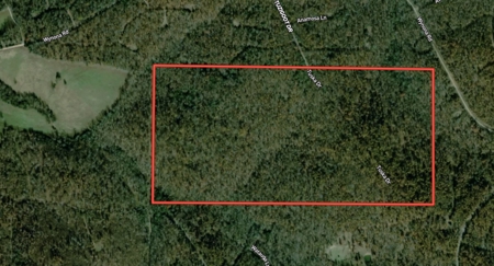 Prime Hunting Land in the Arkansas Ozarks | 80 Wooded Acres - image 2