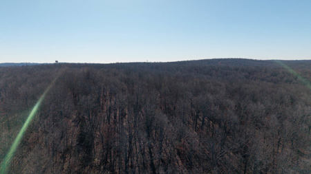 Prime Hunting Land in the Arkansas Ozarks | 80 Wooded Acres - image 13