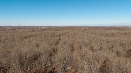 Prime Hunting Land in the Arkansas Ozarks | 80 Wooded Acres - image 9