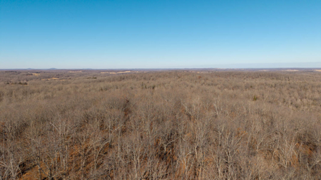 Prime Hunting Land in the Arkansas Ozarks | 80 Wooded Acres - image 8