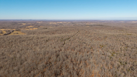 Prime Hunting Land in the Arkansas Ozarks | 80 Wooded Acres - image 6