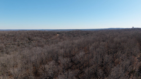 Prime Hunting Land in the Arkansas Ozarks | 80 Wooded Acres - image 14