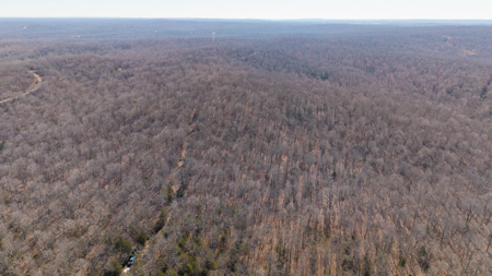 Prime Hunting Land in the Arkansas Ozarks | 80 Wooded Acres - image 3