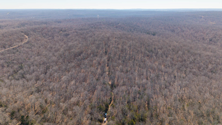Prime Hunting Land in the Arkansas Ozarks | 80 Wooded Acres - image 5
