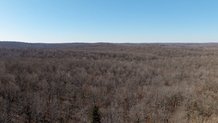Prime Hunting Land in the Arkansas Ozarks | 80 Wooded Acres - image 12