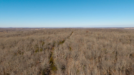 Prime Hunting Land in the Arkansas Ozarks | 80 Wooded Acres - image 10