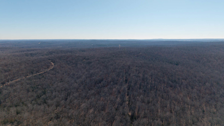 Prime Hunting Land in the Arkansas Ozarks | 80 Wooded Acres - image 4