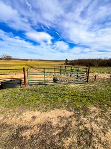 29± Acre Equestrian Property Near the Current River For Sale! - image 27