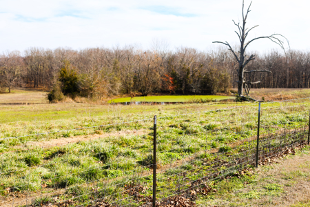 29± Acre Equestrian Property Near the Current River For Sale! - image 48