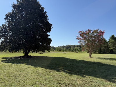 Home for sale in Kinston, Alabama 4 bedrooms/2 bath - image 11