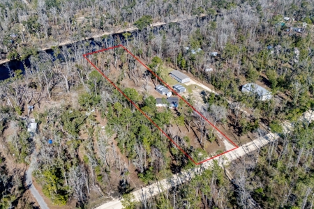 Remodeled Suwannee Riverfront Home on 1.5 High Acres - image 11