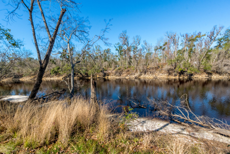Remodeled Suwannee Riverfront Home on 1.5 High Acres - image 5