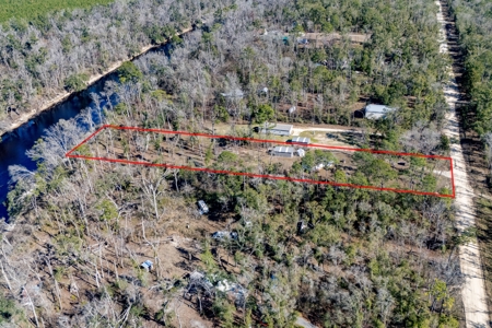 Remodeled Suwannee Riverfront Home on 1.5 High Acres - image 45