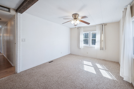 Remodeled Suwannee Riverfront Home on 1.5 High Acres - image 18