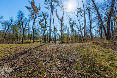Remodeled Suwannee Riverfront Home on 1.5 High Acres - image 6