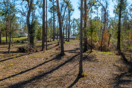 Remodeled Suwannee Riverfront Home on 1.5 High Acres - image 7
