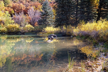 Mountain Ranch Home for Sale in Somerset, CO! - image 16