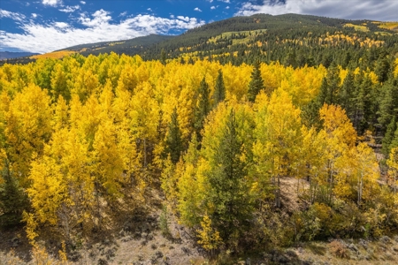 Colorado Hunting Ranch for Sale in Twin Lakes, CO! - image 12