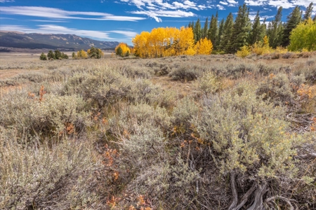 Colorado Hunting Ranch for Sale in Twin Lakes, CO! - image 9