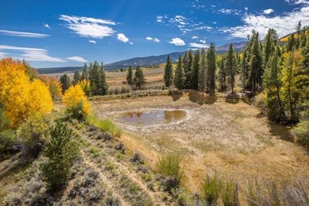 Colorado Hunting Ranch for Sale in Twin Lakes, CO! - image 21