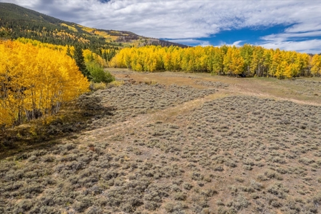 Colorado Hunting Ranch for Sale in Twin Lakes, CO! - image 6