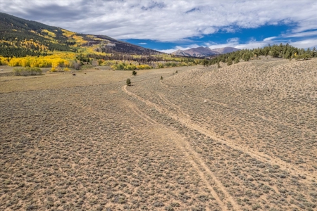 Colorado Hunting Ranch for Sale in Twin Lakes, CO! - image 4
