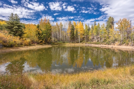 Colorado Hunting Ranch for Sale in Twin Lakes, CO! - image 14