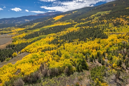 Colorado Hunting Ranch for Sale in Twin Lakes, CO! - image 17