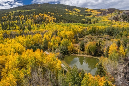 Colorado Hunting Ranch for Sale in Twin Lakes, CO! - image 1