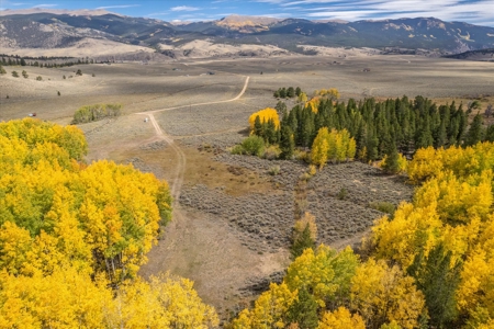 Colorado Hunting Ranch for Sale in Twin Lakes, CO! - image 7