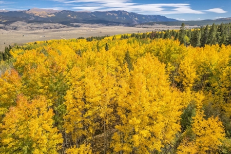 Colorado Hunting Ranch for Sale in Twin Lakes, CO! - image 19