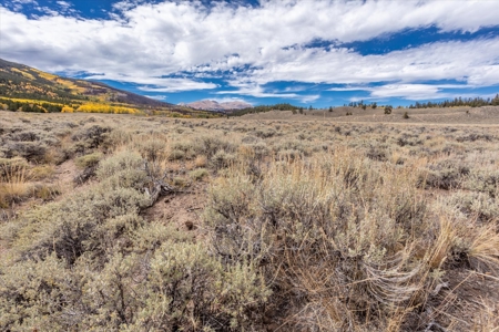 Colorado Hunting Ranch for Sale in Twin Lakes, CO! - image 22