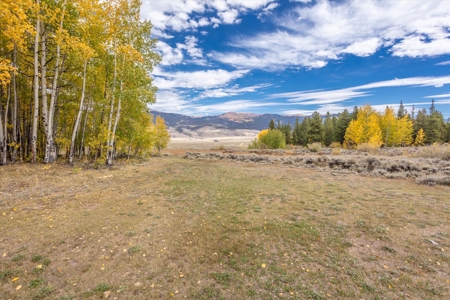 Colorado Hunting Ranch for Sale in Twin Lakes, CO! - image 8